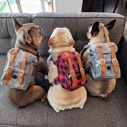 Mochila para perros, pequeña mochila escolar para mascotas con correas, portátil.
