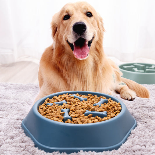 Tazón para Mascotas de Comida Lenta