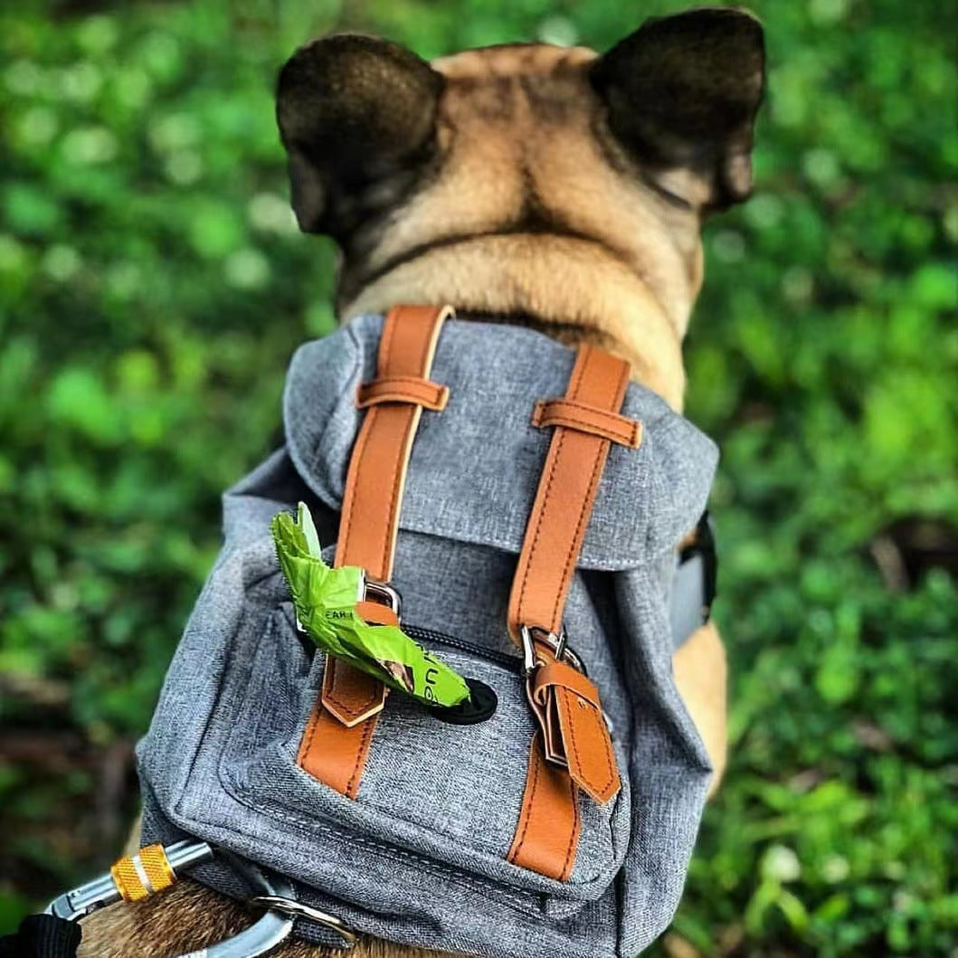 Mochila para perros, pequeña mochila escolar para mascotas con correas, portátil.