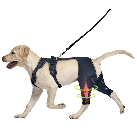 Venda de protección articular para mascotas, rodillera para perro, rehabilitación post-cirugía, soporte para rodilla