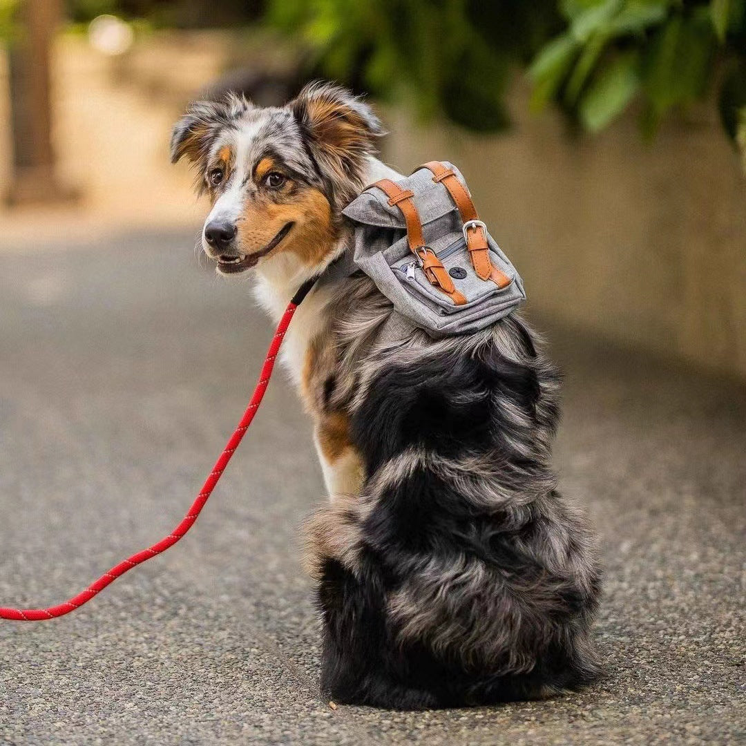 Mochila para perros, pequeña mochila escolar para mascotas con correas, portátil.