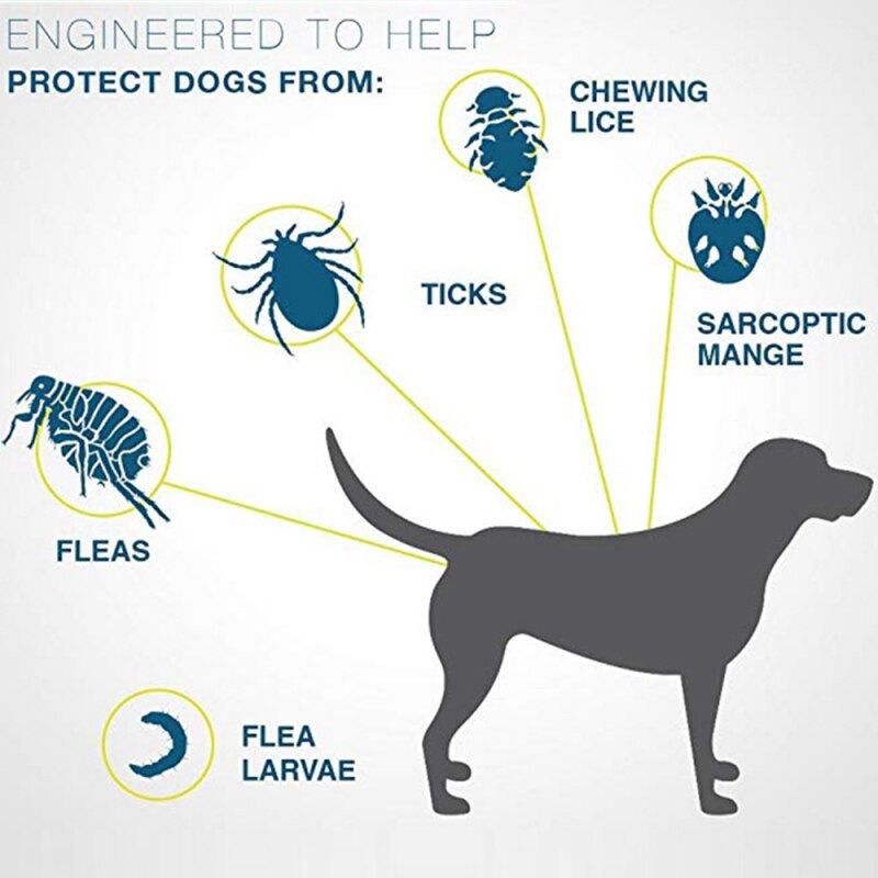 Collar para mascotas, quita pulgas y repele mosquitos