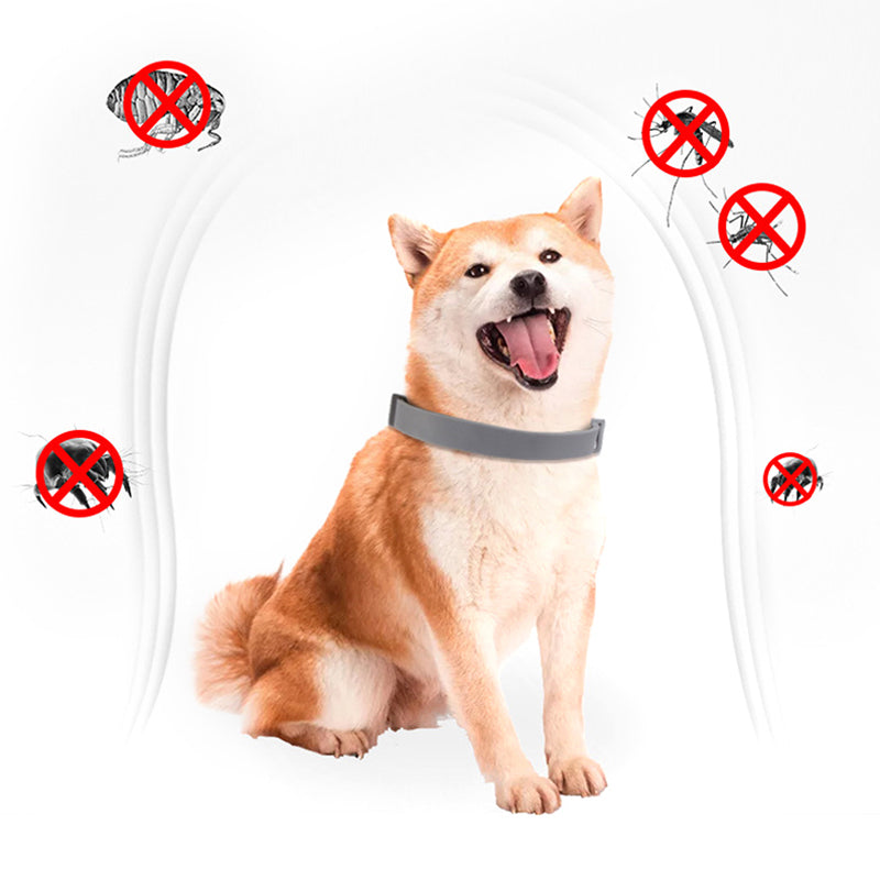 Collar para mascotas, quita pulgas y repele mosquitos