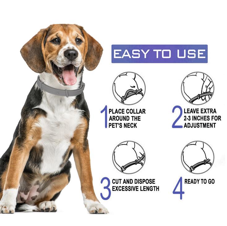 Collar para mascotas, quita pulgas y repele mosquitos
