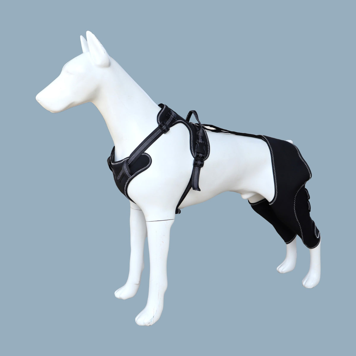 Venda de protección articular para mascotas, rodillera para perro, rehabilitación post-cirugía, soporte para rodilla