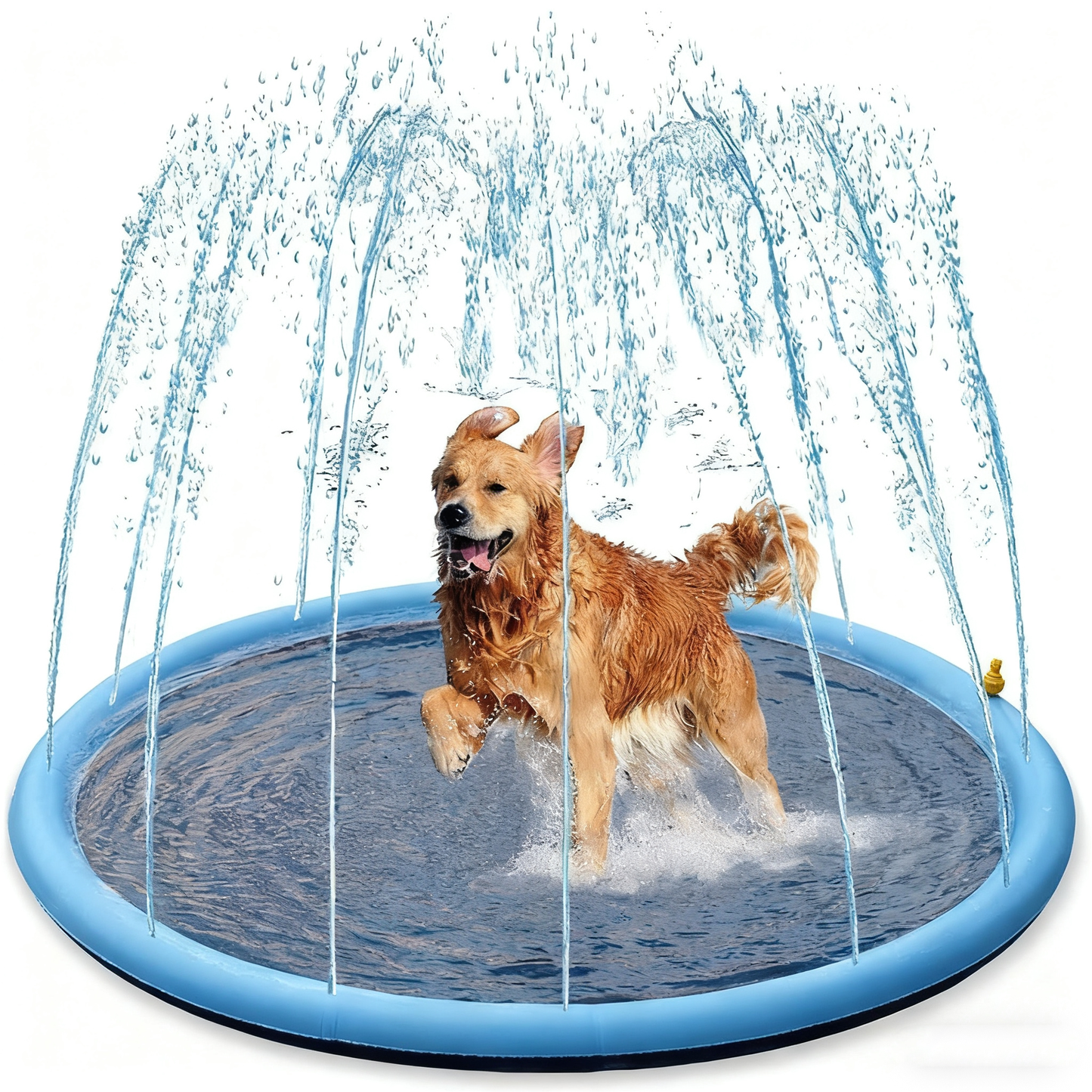 Alfombra de agua PVC para que jueguen las mascotas.