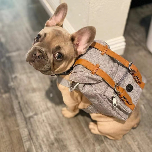 Mochila para perros, pequeña mochila escolar para mascotas con correas, portátil.