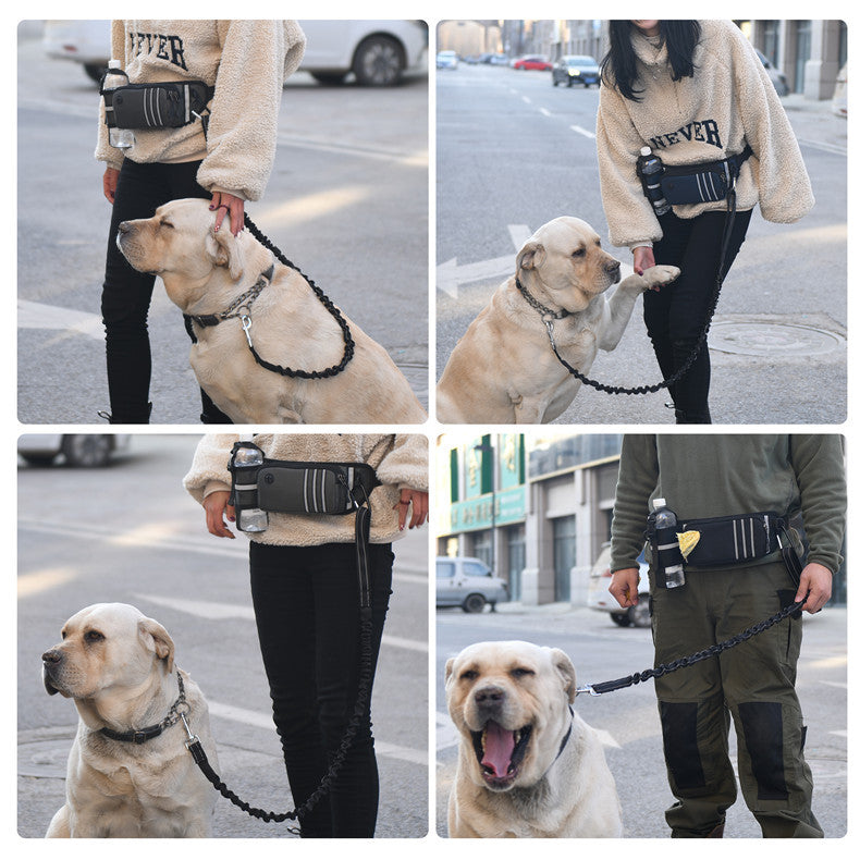 Riñonera Deportiva Impermeable para Running y Paseo de Perros